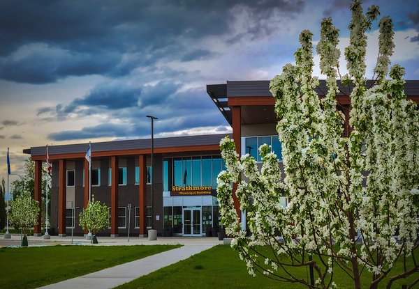 Municipal Building in Bloom, Kinsmen Park, Strathmore, AB, 2022-05-29