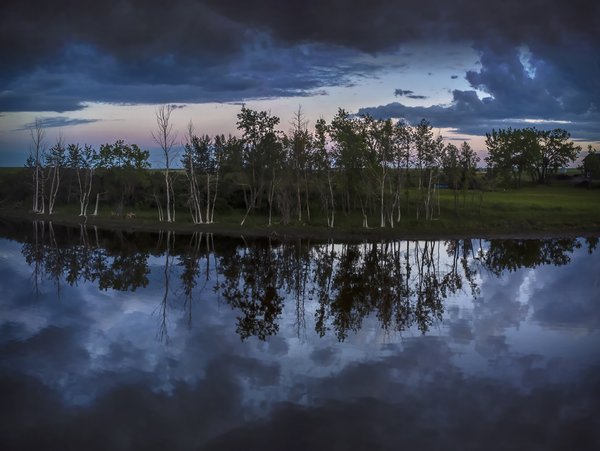 Trees At Shore Seen From Lake Surface, Wheatland County, AB, 2022-06-18