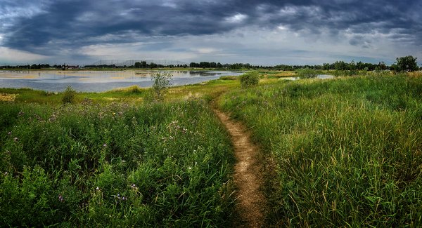 Shortcut through the grass, Gray Park, Strathmore, AB, 2022-08-10