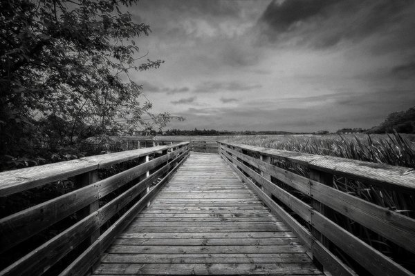 Entry to Boardwalk, Telford Lake Trails, Leduc, Alberta, 2022-08-27