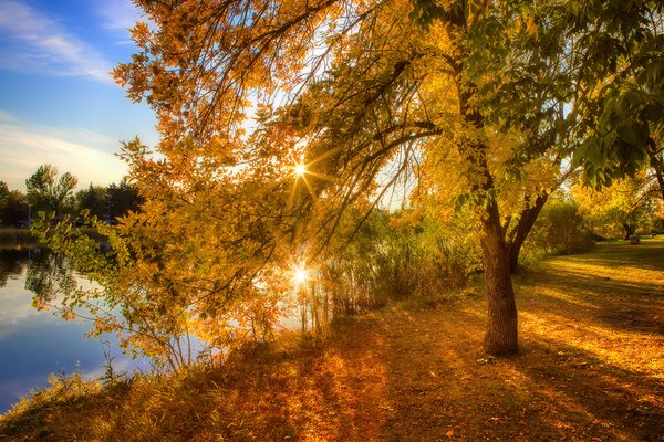 On Golden Pond, Kinsmen Lake, Strathmore, Alberta, 2022-09-27