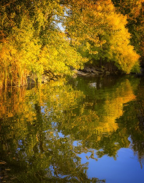 Pool of reflection, Kinsmen Lake, Strathmore, Alberta, 2022-09-27