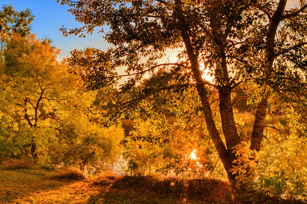 A bright future, Kinsmen Lake, Strathmore, Alberta, 2022-09-27