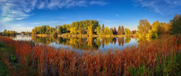 Fall colours creeping in, Kinsmen Lake, Strathmore, Alberta, 2022-09-27 &W