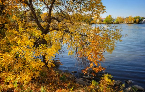 Blue and Gold, Kinsmen Park, Strathmore, AB, 2022-10-06