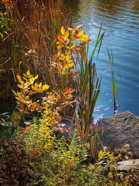On the Edge, Kinsmen Park, Strathmore, AB, 2022-10-06