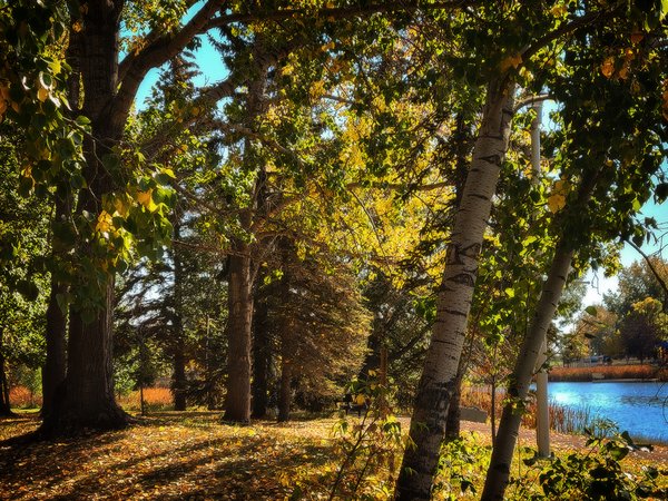 Some Green Left, Kinsmen Park, Strathmore, AB, 2022-10-06