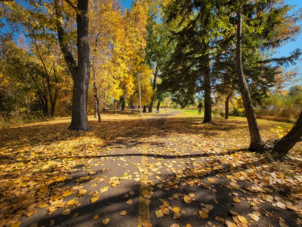 Strath Path, Kinsmen Park, Strathmore, AB, 2022-10-06
