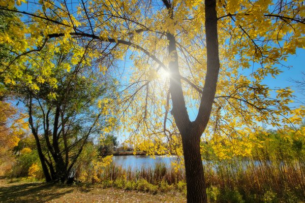 A Bright Spot In Your Day, Kinsmen Park, Strathmore, AB, 2022-10-06