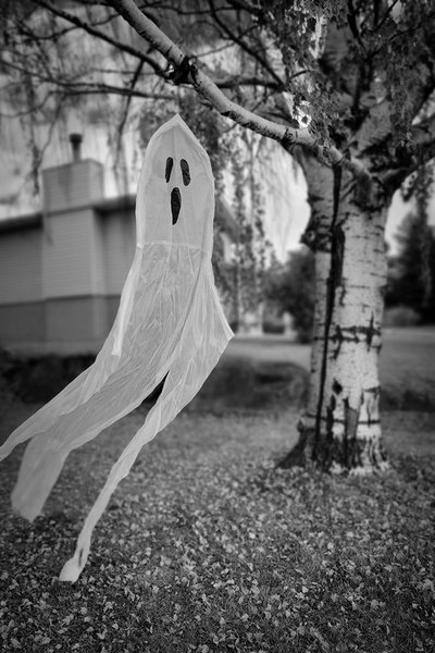 'Tis the season where we lose all reason, Thornbriar Green, Strathmore, AB, 2022-10-20