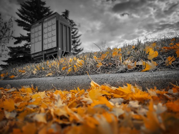 Mail Call, Thornbriar Green, Strathmore, AB, 2022-10-20