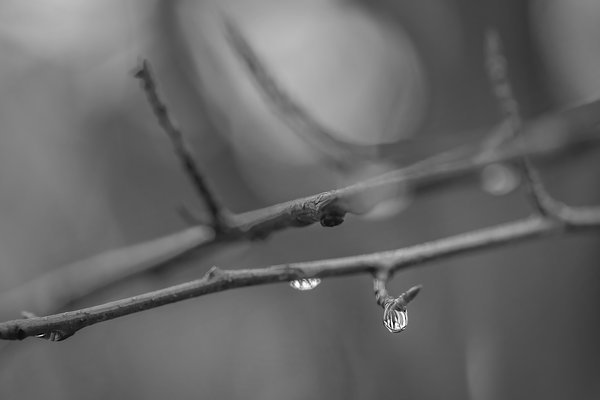 Details Matter, My Back Yard, Strathmore, AB, 2022-10-21