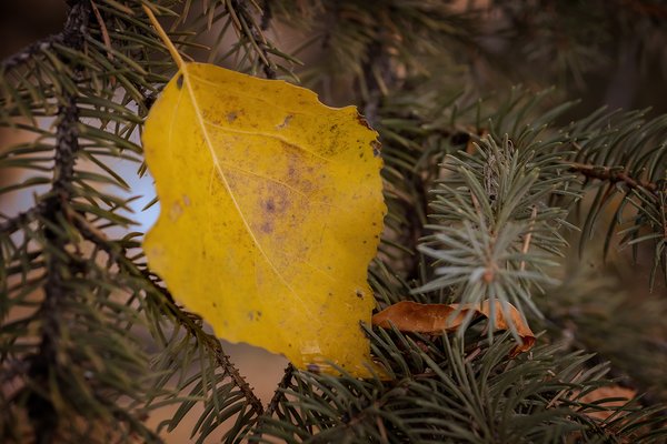Single and Ready to Mingle, Kinsmen Park, Strathmore, AB, 2022-10-21