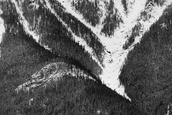 Les Trois Soeurs, Possible avalanche terrain, Canmore, AB, 2022-11-05
