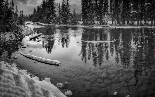 Policeman's Creek, Landscape, Town of Canmore, Alberta, 2022-11-06