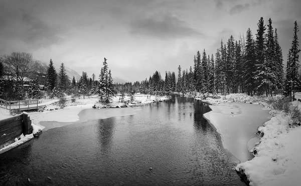 Standing Over Policeman's Creek, Town of Canmore, Alberta, 2022-11-06