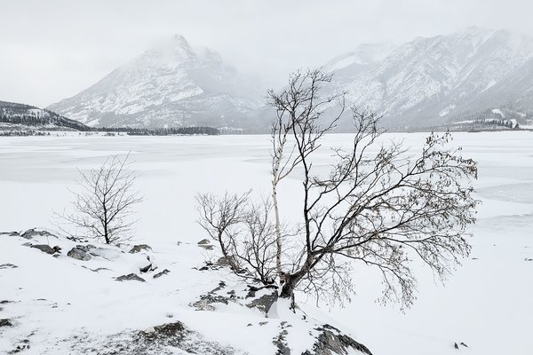 Lac des Arcs on a damn cold day : Bow Valley Provincial Park : Alberta : 2022-11-06