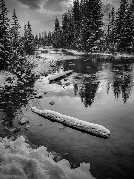 Policeman's Creek, Portrait, Town of Canmore, Alberta, 2022-11-06