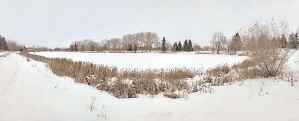 It's going to be a white Christmas at Kinsmen Lake, Strathmore, AB, 2022-12-16
