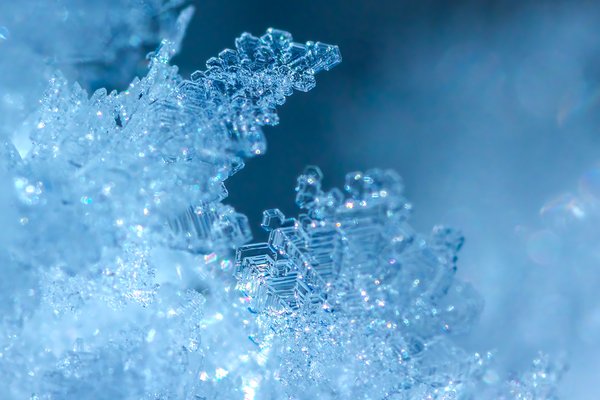 Vanilla Ice, My Front Yard, Strathmore, AB, 2022-01-18