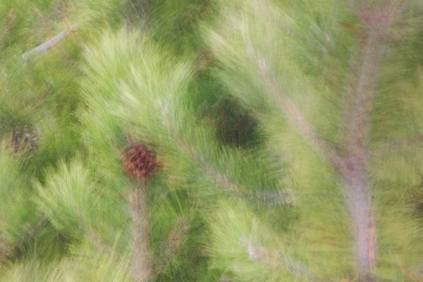 Happy Winds-day, Strathmore, Alberta 2023-01-22