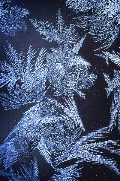 Stay Frosty, Patio Door, Strathmore, AB, 2023-02-02
