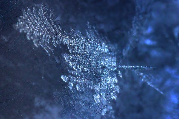 Frosted Off, Hoar Frost on BBQ Cover, My Back Yard, Strathmore, AB, 2022-03-12