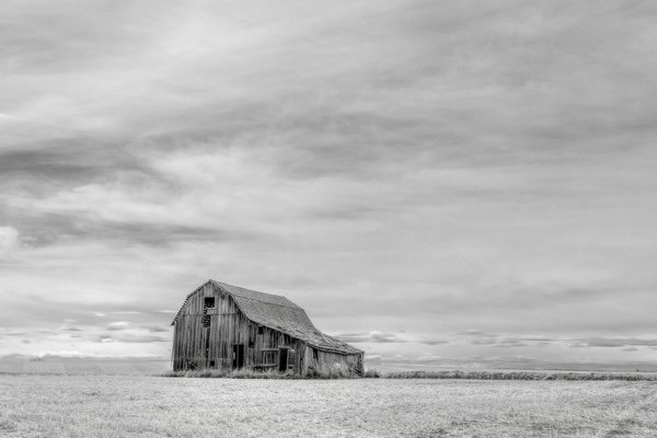 The Prairie Life Is A Lonely Life, Highway 21, North of Trochu, Alberta. 2023-04-23
