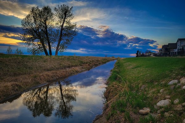 Reflected Tree at Dusk, North Irrigation Canal, Strathmore, Alberta, 2023-05-07