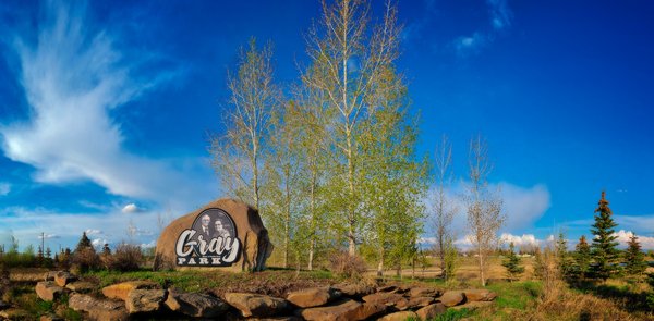 Spring Arrives, Gray Park, Strathmore, Alberta. 2023-05-10