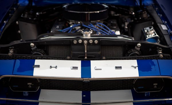 Shelby GT Front Badge & Engine Bay, Classic Ford Mustang, Morrin, Alberta. 2023-05-20