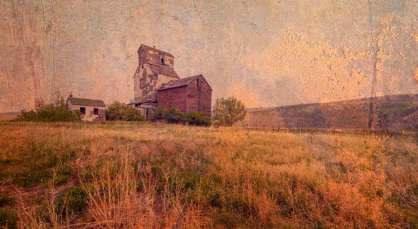 Elevator on a Smoky Afternoon, Sharples, Alberta, 2023-05-20