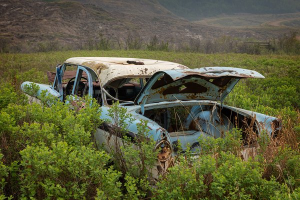 Quite literally put out to pasture, Taylor Siding, Alberta. 2023-05-20