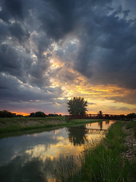 Brief Burst of Colour, Tom Sadler Bridge, Strathmore, Alberta. 2023-06-08