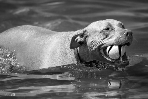 Having a ball, Chestermere, Alberta, 2023-06-29