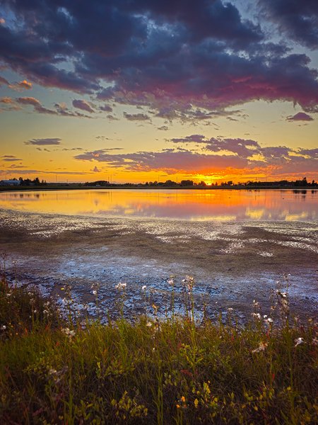 Pass the Moisturizer, Receding Water, Gray Pond, Strathmore, Alberta, 2023-09-13