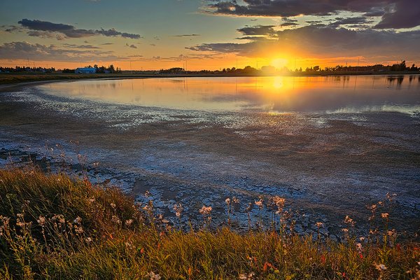 High and Dry, Receding Water, Gray Pond, Strathmore, Alberta, 2023-09-13