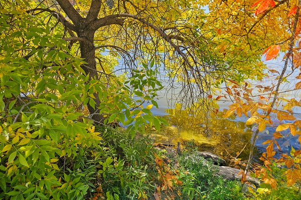 Starting to See Red, Kinsmen Lake, Strathmore, Alberta, 2023-09-14