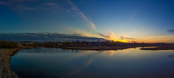 Going gently into that good night, Lower Gray Pond, Gray's Park, Strathmore AB, 2023-10-20