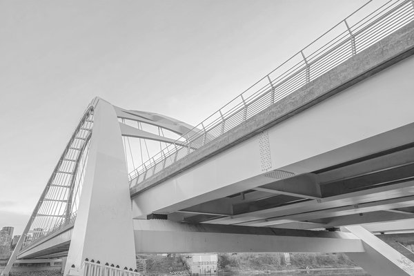 Grace Under Pressure, Walterdale Bridge, Edmonton, AB, 2023-11-12