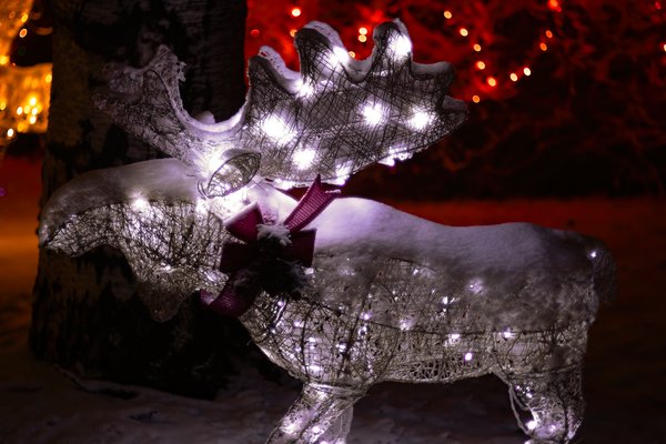 As White As Xmas Gets, Front Yard Decorations, Strathmore, Alberta. 2023-12-07