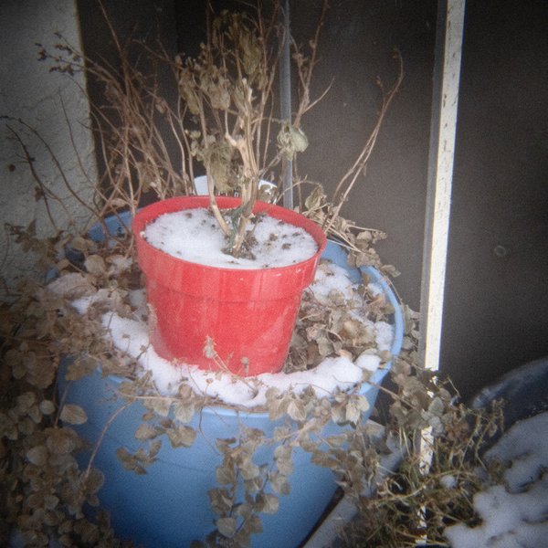 Waiting for Spring, My Back Yard, Strathmore, Alberta. 2023-12-11