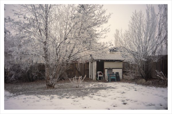 A drib of drab, Kodak Pancake Lens for Canon RF, My Back yard, Strathmore, Alberta, 2024-01-02
