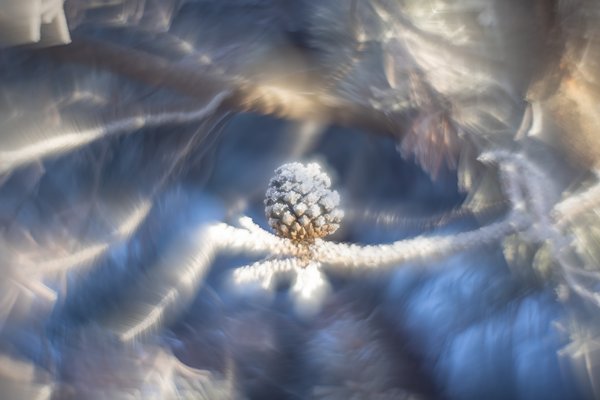 Sno Cone 2 - A second helping, Helios 44m-2 with reversed front element, Strathmore, Alberta, 2024-01-04
