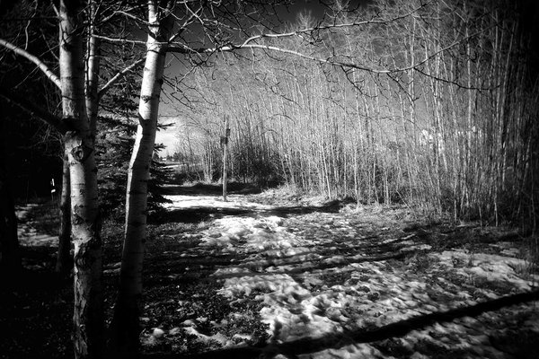 Watch your fucking step, Strathmore, Alberta, 2024-02-01