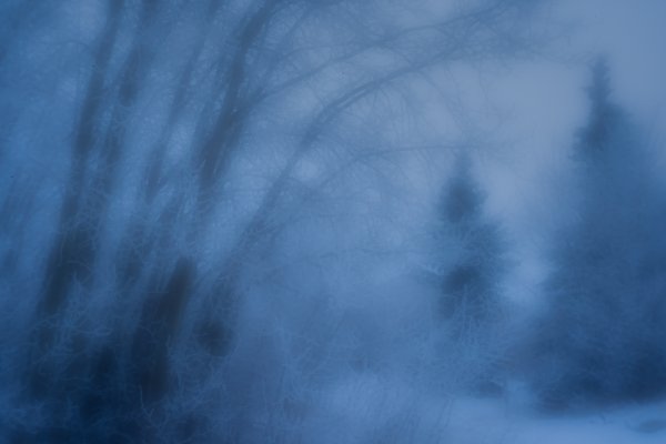 Frost in the failing light, Gray Park, Strathmore, Alberta, 2024-02-07 (Zone plate)