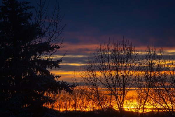 Sunset Silhouette, Landscape, Thornbriar Green, Strathmore, Alberta, 2024-02-10