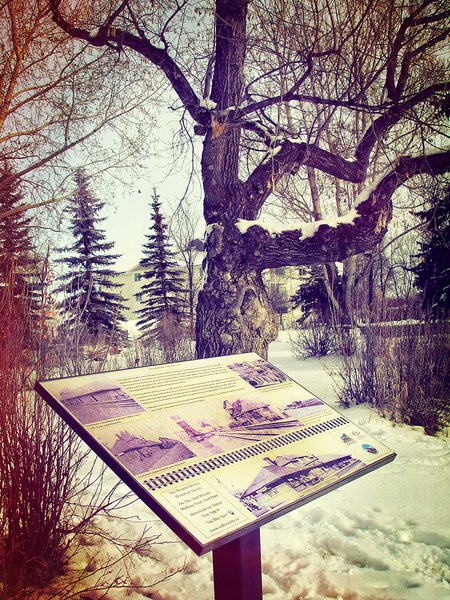 Lambert Station Info, Cross processed, Lambert Park, Strathmore, Alberta, 2024-02-11
