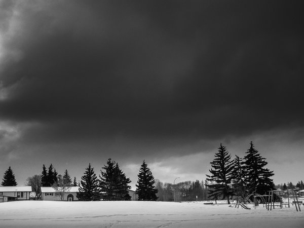 It's a grey day, Thornbriar Green, Strathmore, Alberta, 2024-02-13