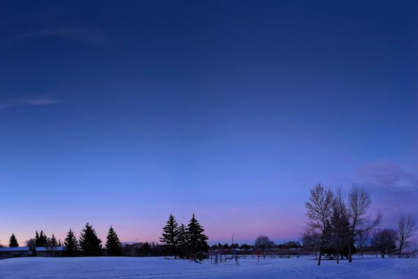Valentines Day 2024, Thornbriar Green Park, Strathmore, Alberta, 2024-02-14